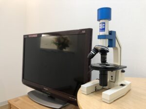 顕微鏡とモニター