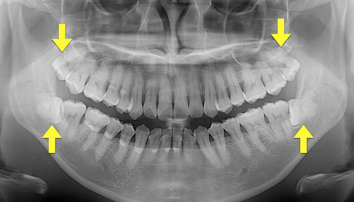 藤沢ギフト⻭科・矯正⻭科